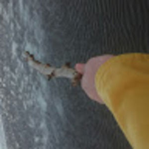 Meet your Posher, Alison